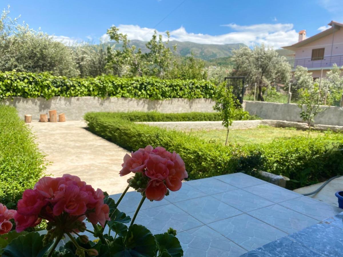 Flowery House Near The Sea And The Mountain Casa vacanze Vlorë